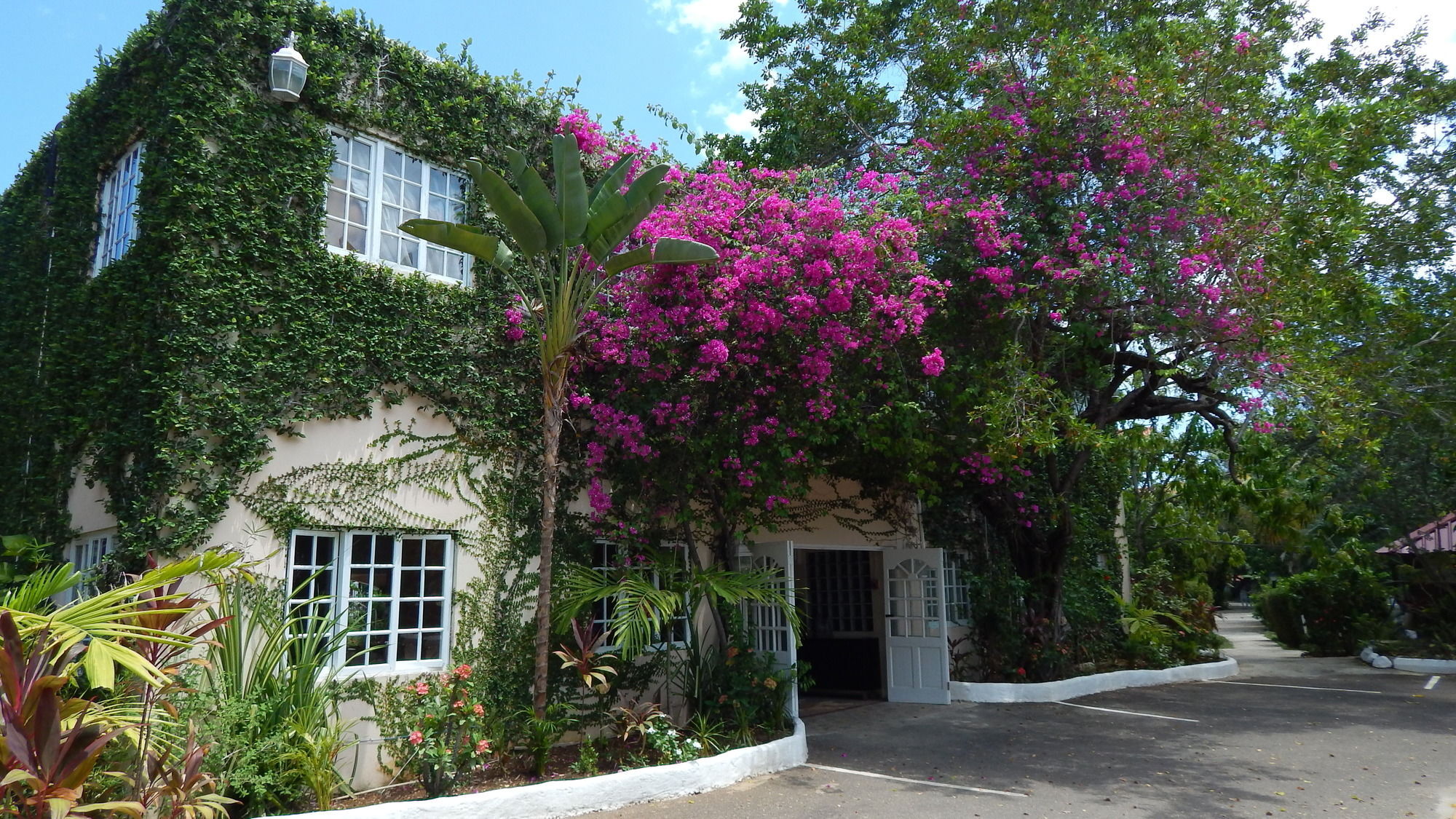 Mangos Jamaica Adults Only Otel Falmouth Dış mekan fotoğraf