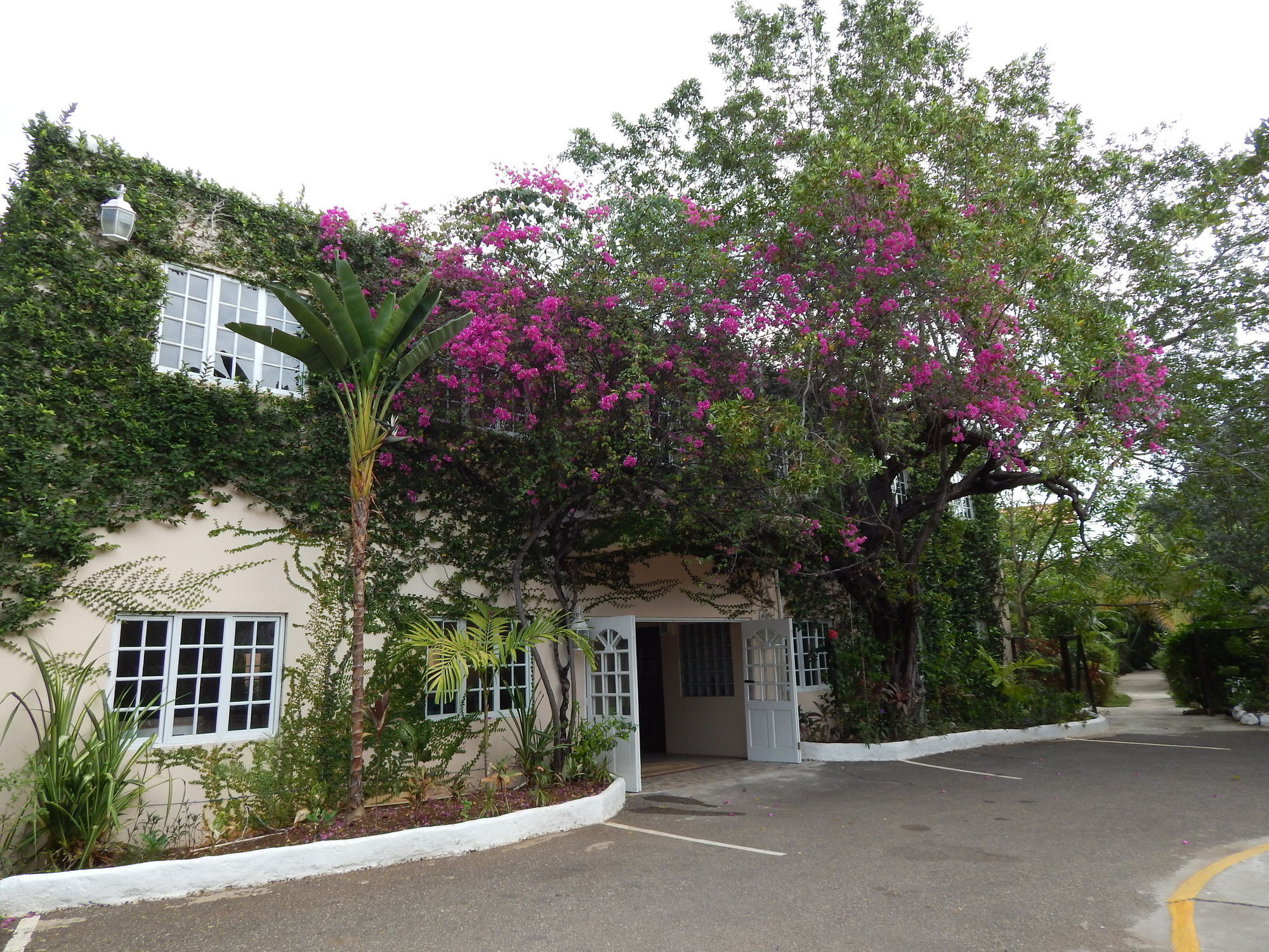 Mangos Jamaica Adults Only Otel Falmouth Dış mekan fotoğraf